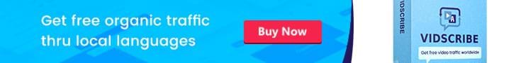 Vidscribe template